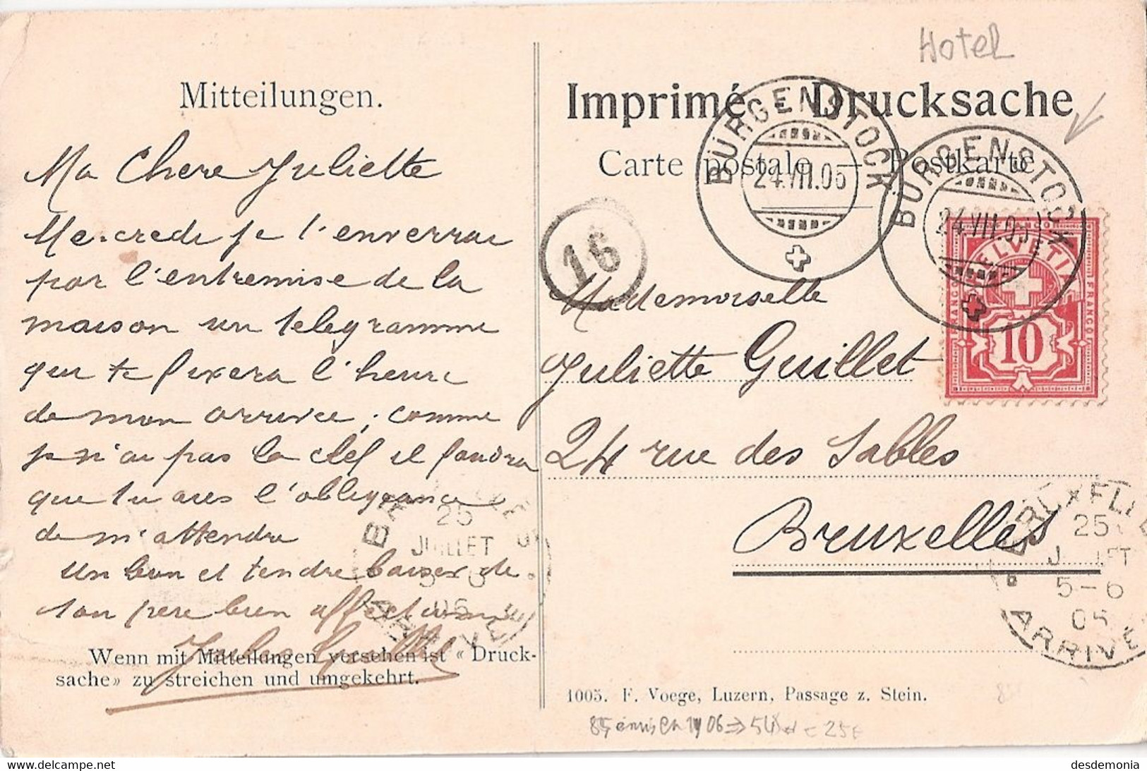 Suisse Michel 54 Yd (Yvert ) O Croix Seul Sur Carte Postale – TàD De L'hôtel Burgenstock 24,3,1905 - Other & Unclassified