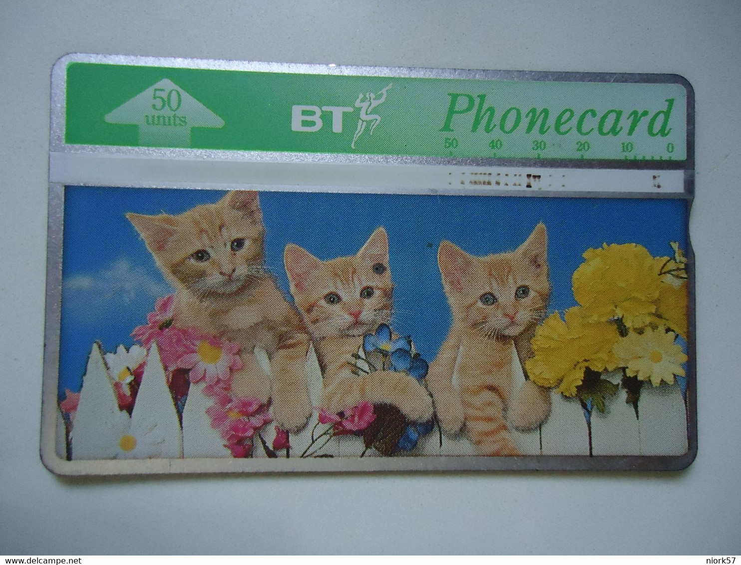 UNITED KINGDOM  USED  CARDS   CAT  CATS - Conejos