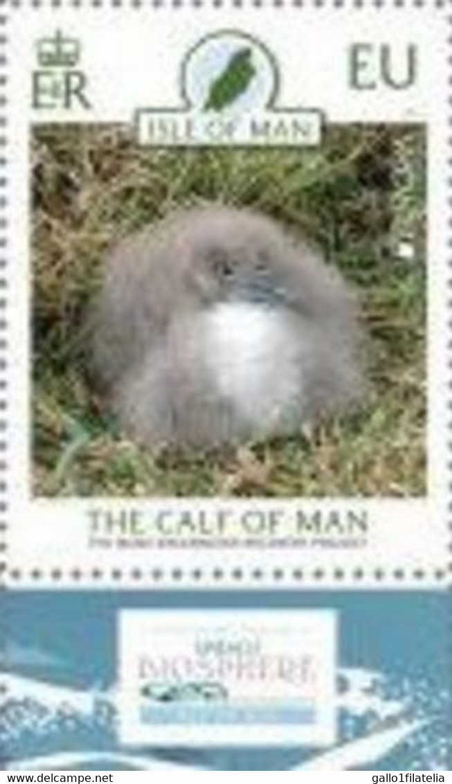 2021 - ISLE OF MAN - EUROPA CEPT - FAUNA NAZIONALE IN VIA DI ESTINZIONE / ENDANGERED NATIONAL WILDLIFE. MNH - 2021