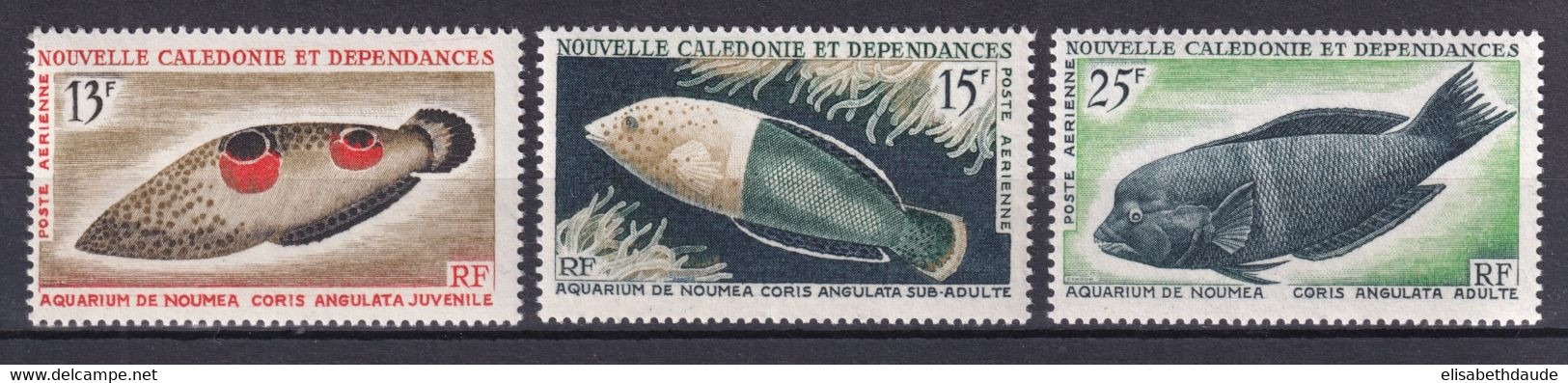 CALEDONIE - AERIENS YVERT N°81/83 ** MNH - COTE = 22.5 EUR. - POISSONS - Nuevos