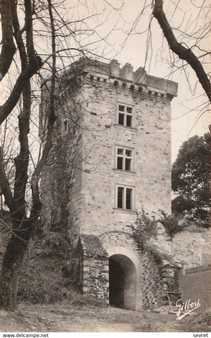 MONTENDRE. - Restes Du Vieux Château. Le Donjon.CPSM 9x14 - Montendre