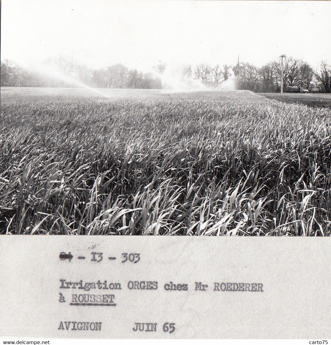 Rousset 13 - Irrigation Orge Exploitation M. Roederer - Photographie 1965 - Rousset