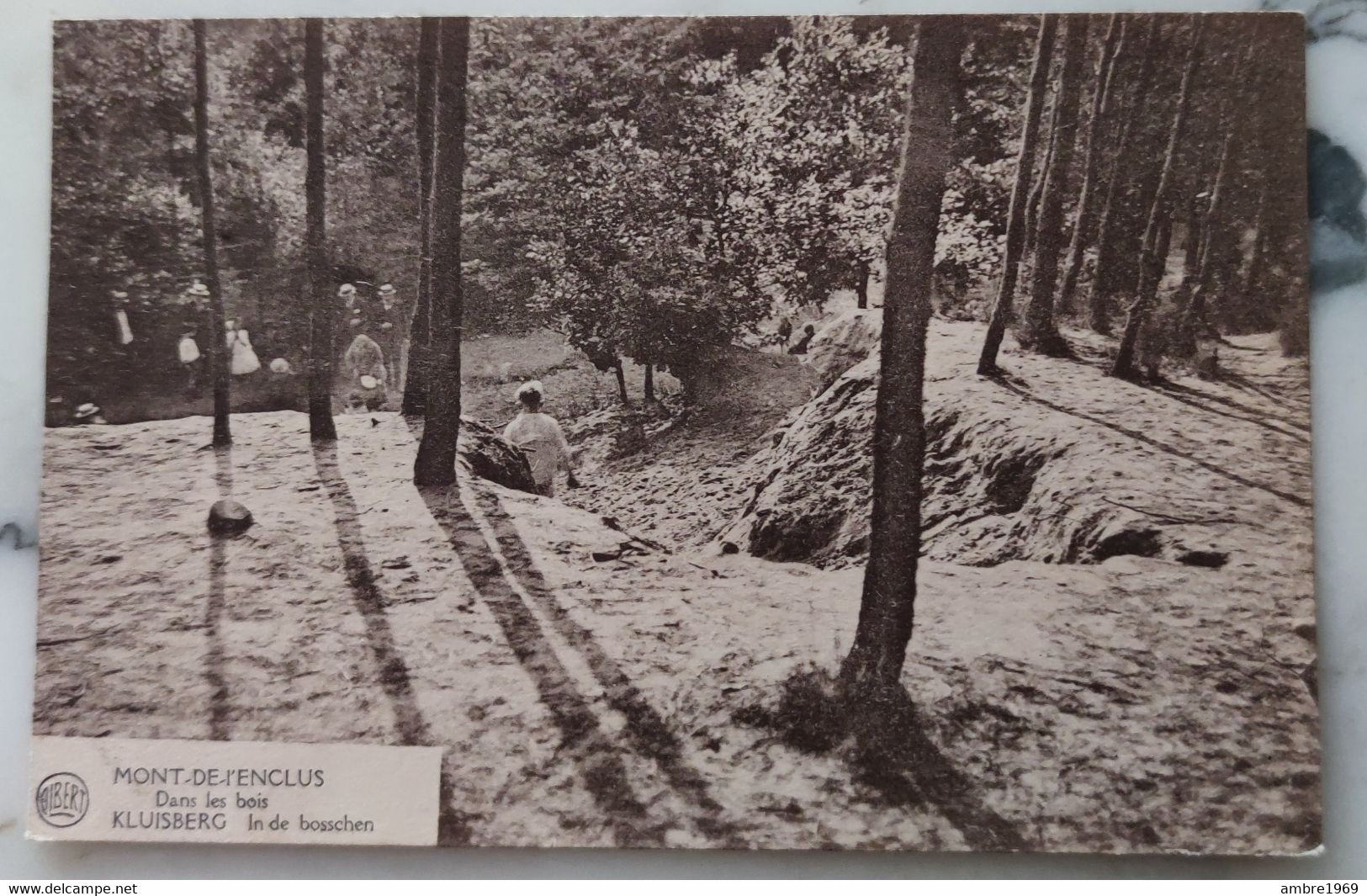 MONT DE L'ENCLUS  KLUISBERG DANS LES BOIS IN DE BOSSCHEN - Kluisbergen