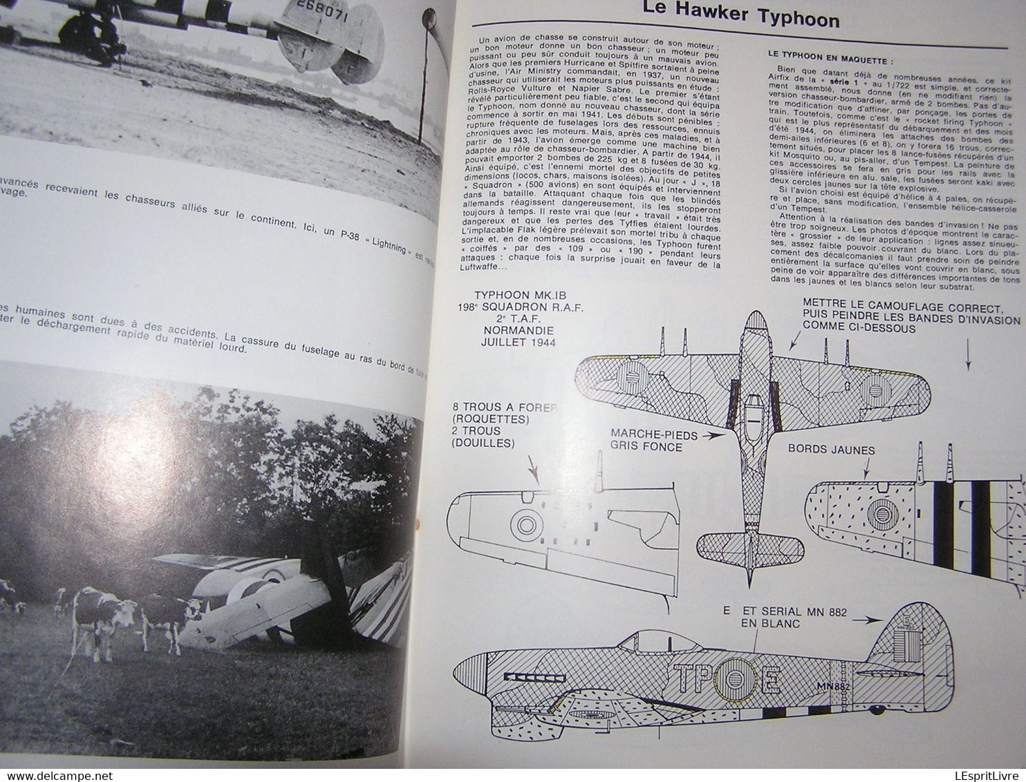 LES MORDUS DU MODELISME N° 2 Les Avions du Débarquement Normandie Guerre 40 45 Maquette Avion Camouflage Marque Marking