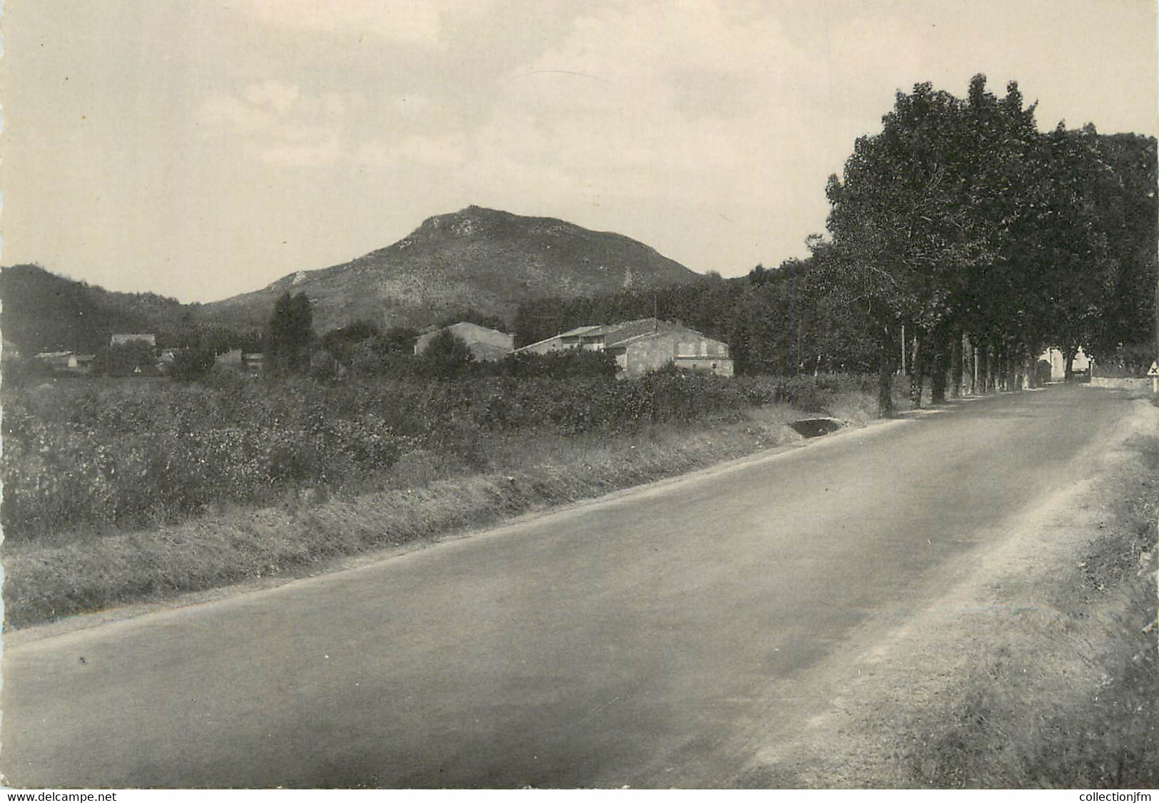 CPSM FRANCE 83 " La Roquebrussanne, Entrée Du Village Route De Toulon" - La Roquebrussanne