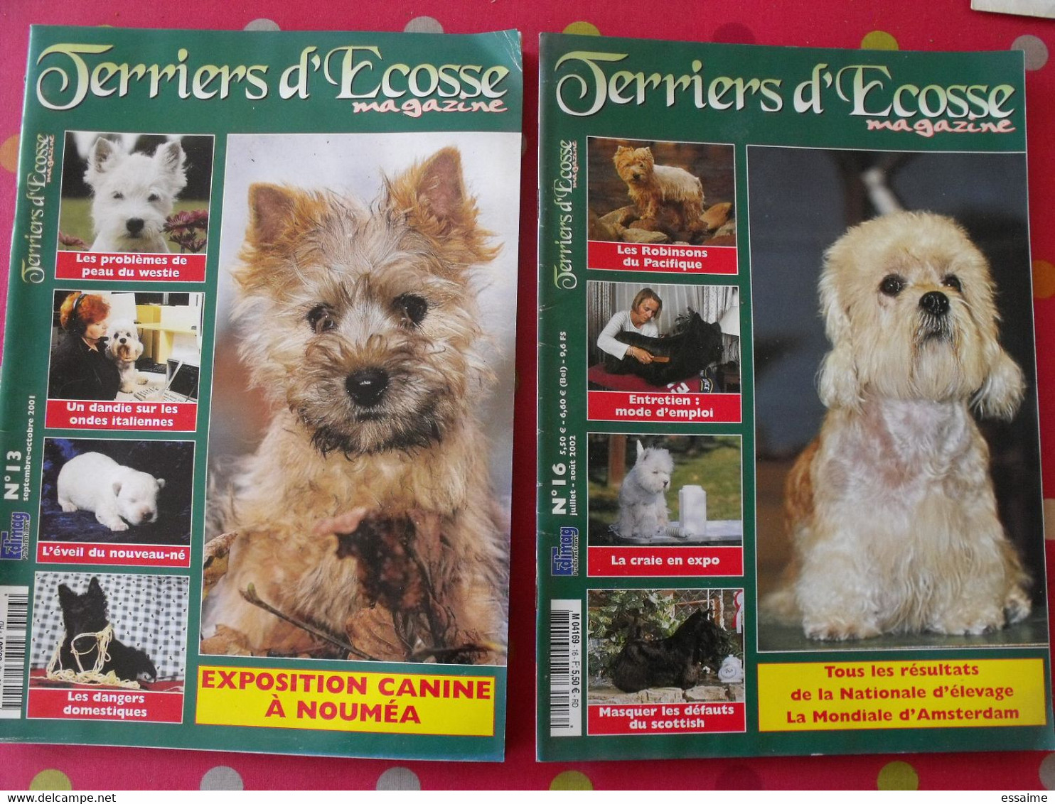 2 Revues Terrier D'Ecosse Magazine 2001 Et 2002. N° 13 Et N° 16. Scottish Westie Copilot Skye Shih Tzu - Tierwelt