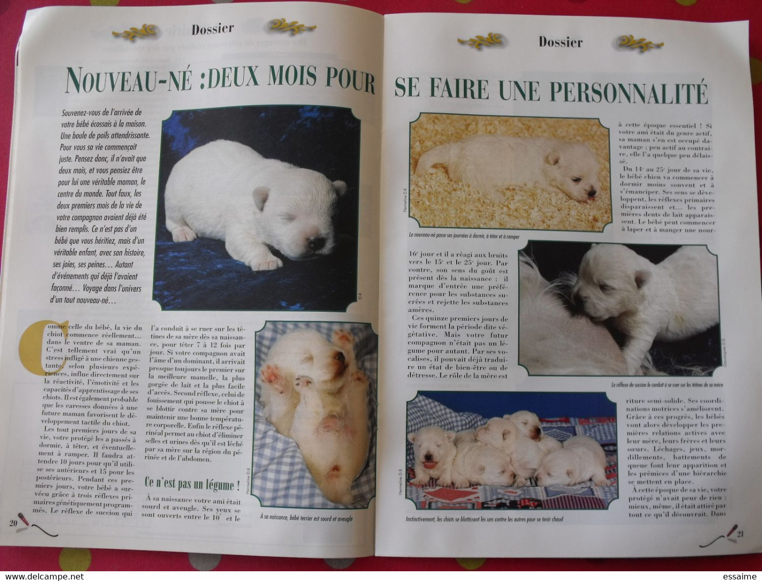 2 Revues Terrier D'Ecosse Magazine 2001 Et 2002. N° 13 Et N° 16. Scottish Westie Copilot Skye Shih Tzu - Tierwelt