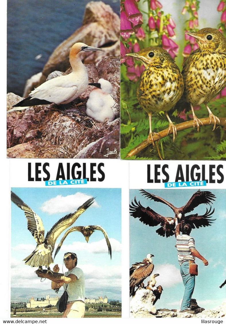 16 Cartes Oiseaux - Pájaros