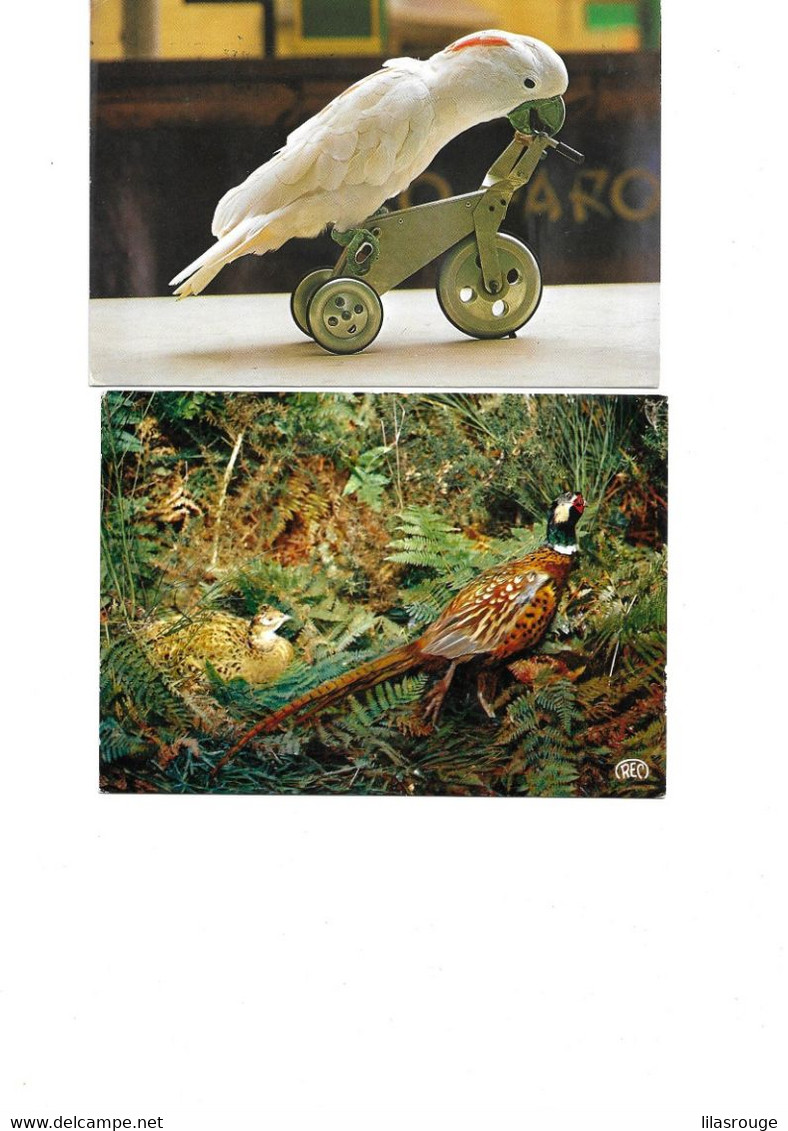 16 Cartes Oiseaux - Vogels