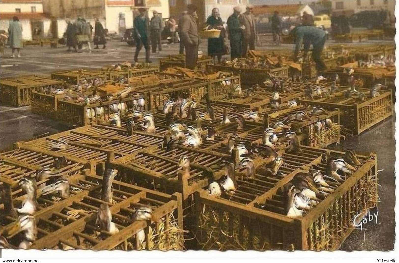 85 CHALLANS   - Le Marché Aux Canards - Challans