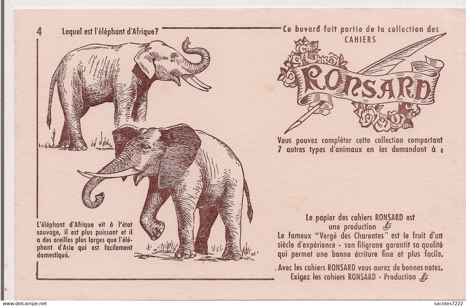 BUVARD   CAHIERS RONSARD - ELEPHANT - - Tiere