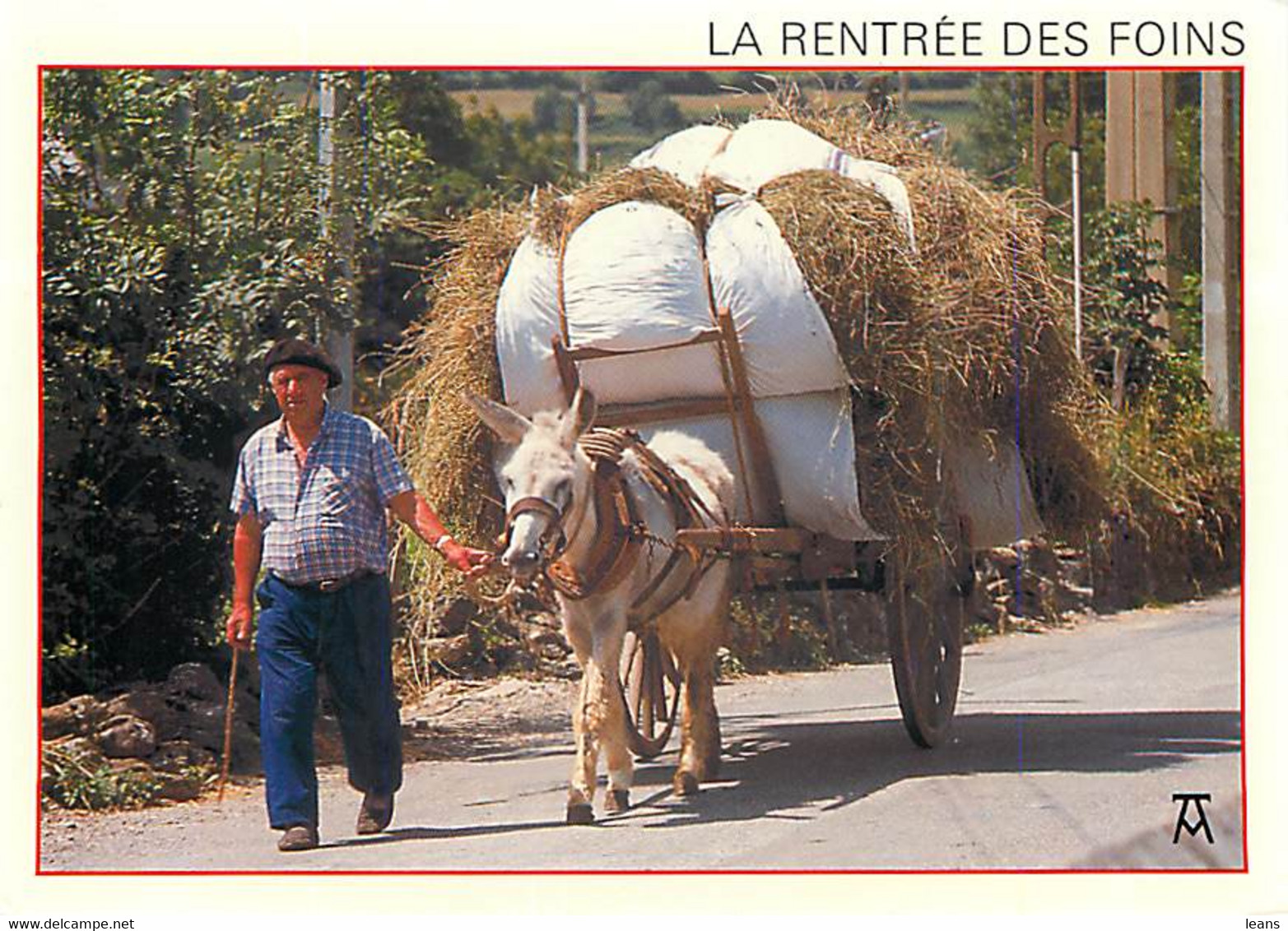 COLLECTION ARTPYR - LES PYRENEES - La Rentrée Des Foins - B 139 - Attelages