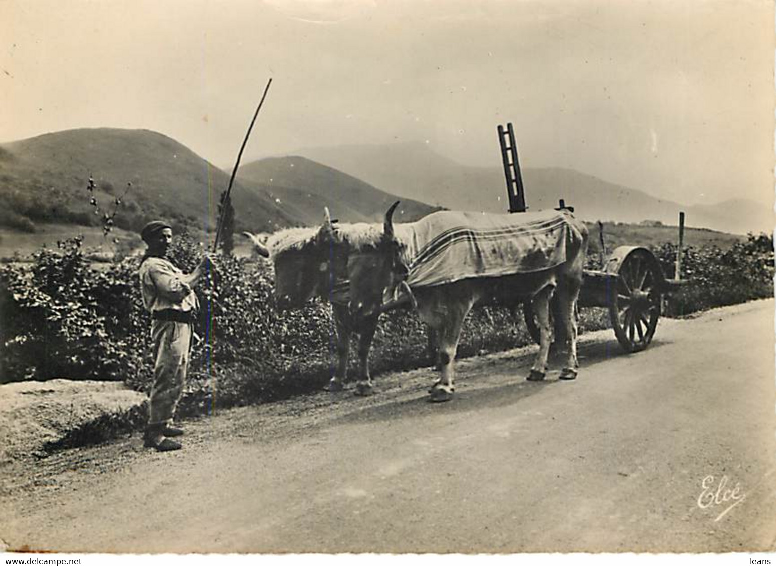 PAYS BASQUE - Sur La Route D'Ascain - Attelage De Boeufs - 10211 - Wagengespanne