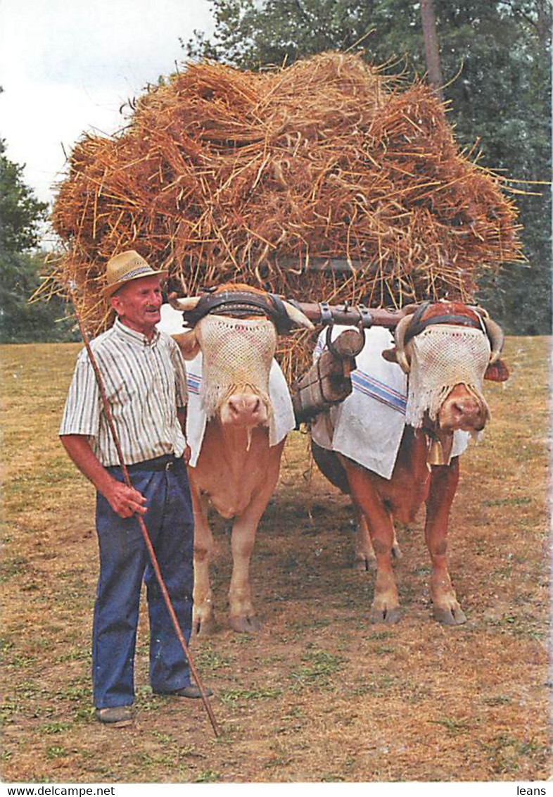 ATTELAGE - APRES LA BATTERE - Transport De La Paille - René Dessis - NERBIS  (bourse 2006 Saint Paul Des Dax) - Attelages