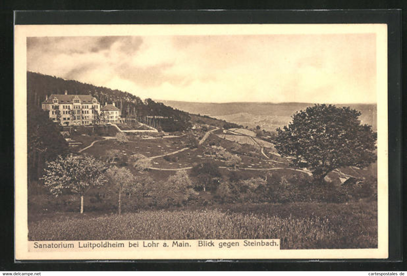 AK Lohr Am Main, Blick Auf Das Sanatorium Luitpoldheim, Blick Gegen Steinbach - Lohr