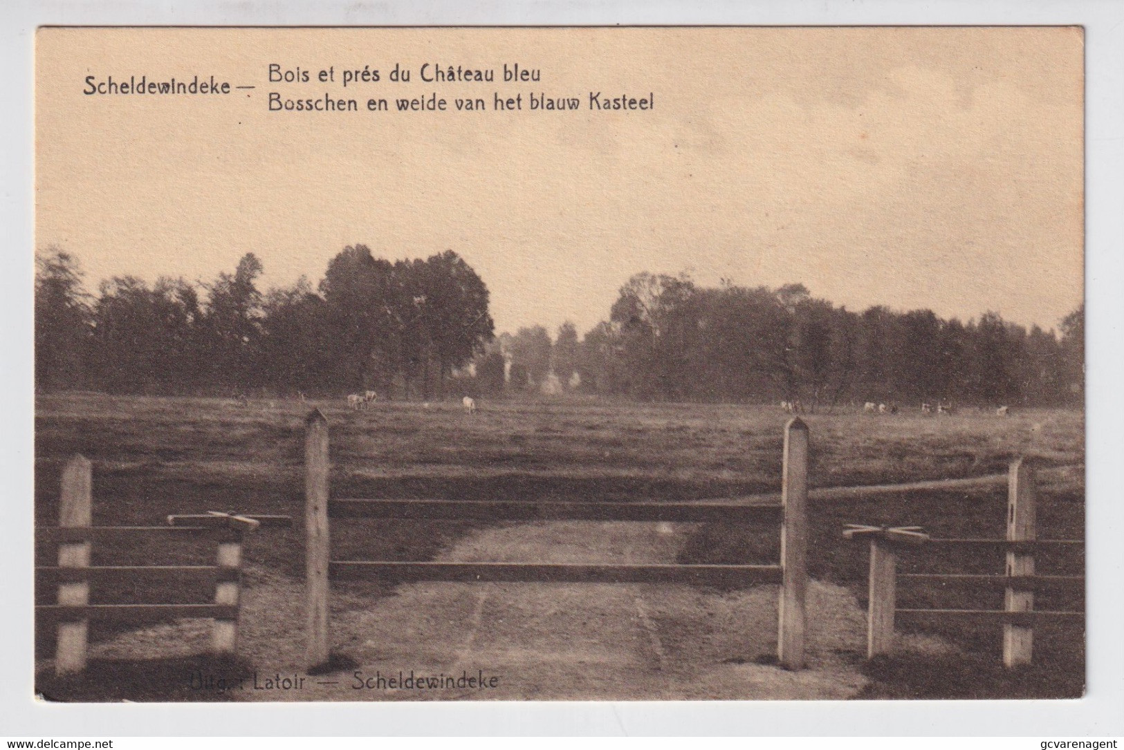 SCHELDEWINDEKE  BOSSCHEN EN WEIDE VAN HET BLAUW KASTEEL - Oosterzele