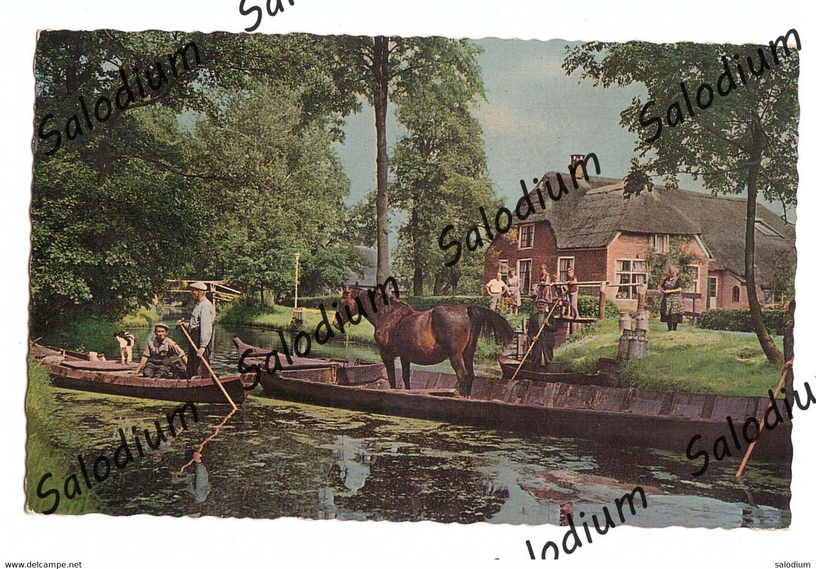 GIETHOORN CAVALLO HORSE CANE DOG - Giethoorn