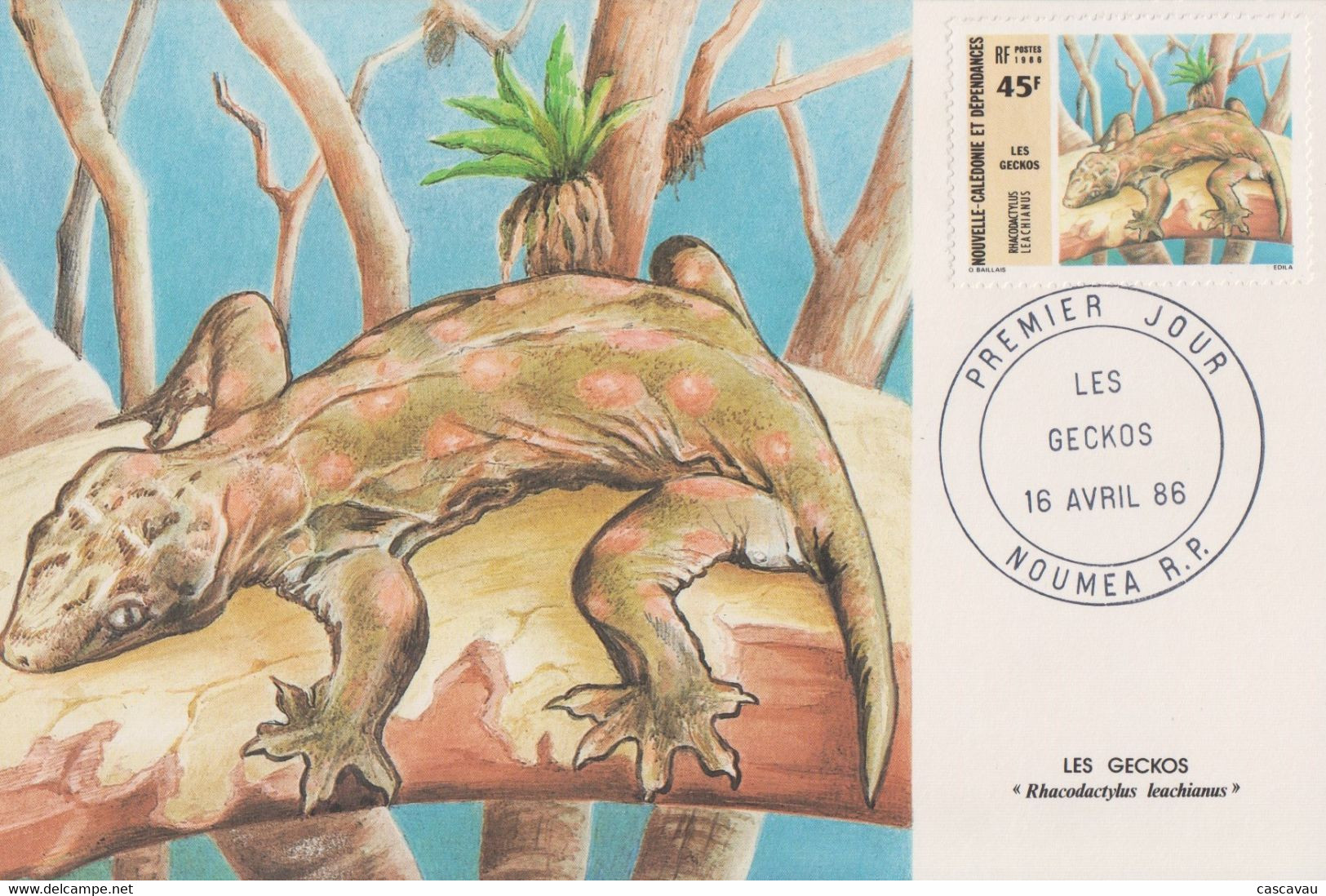 Carte  Maximum  1er  Jour   NOUVELLE CALEDONIE   Les  Geckos   1986 - Cartoline Maximum