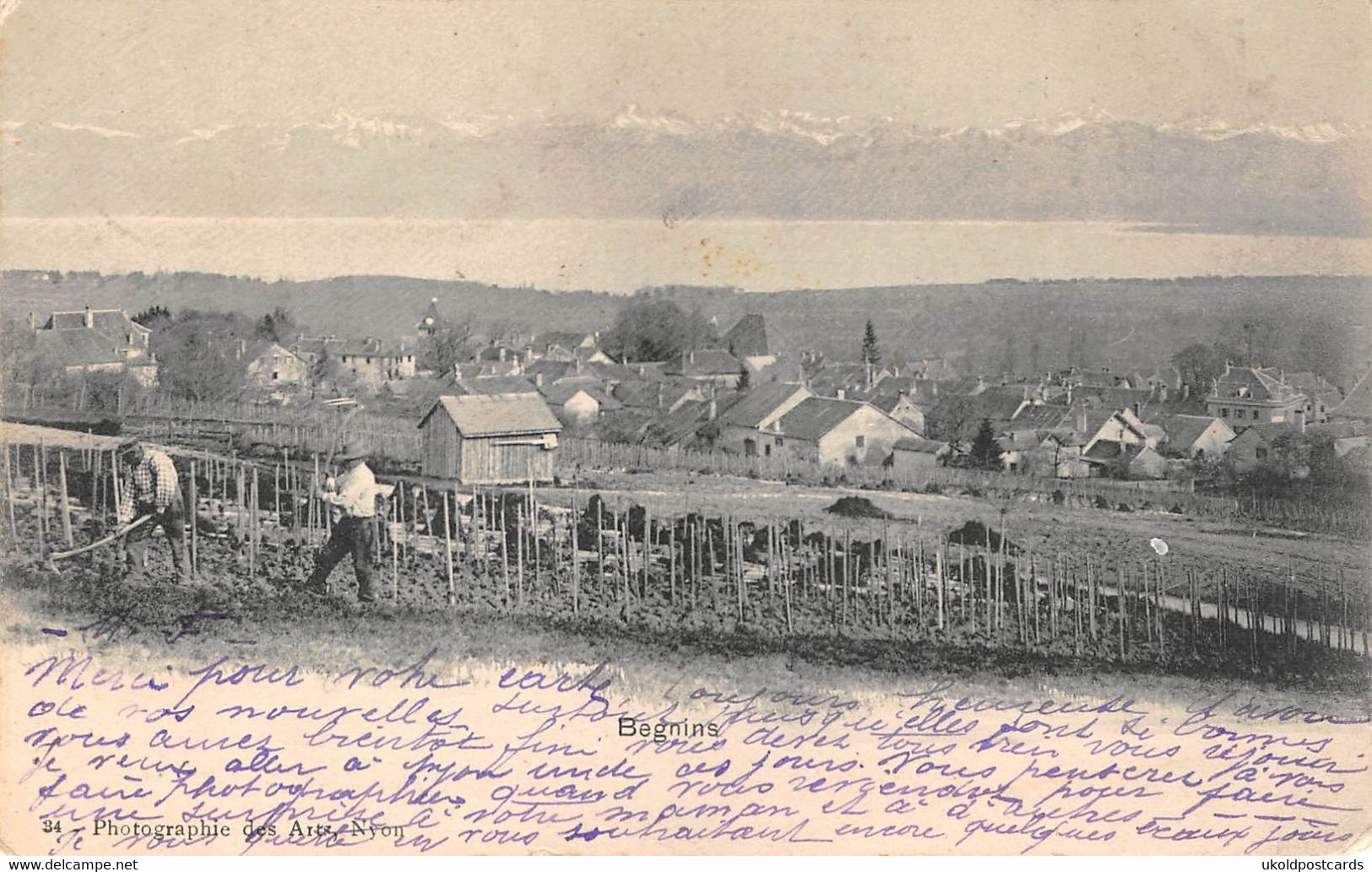 CPA  Suisse, BEGNINS, Travaux De La Vigne Et Vignerons, 1903 - Begnins