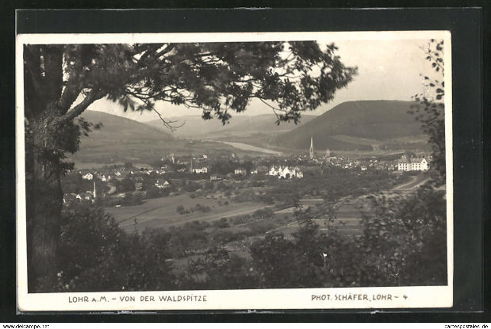 AK Lohr A. M., Blick Von Der Waldspitze - Lohr