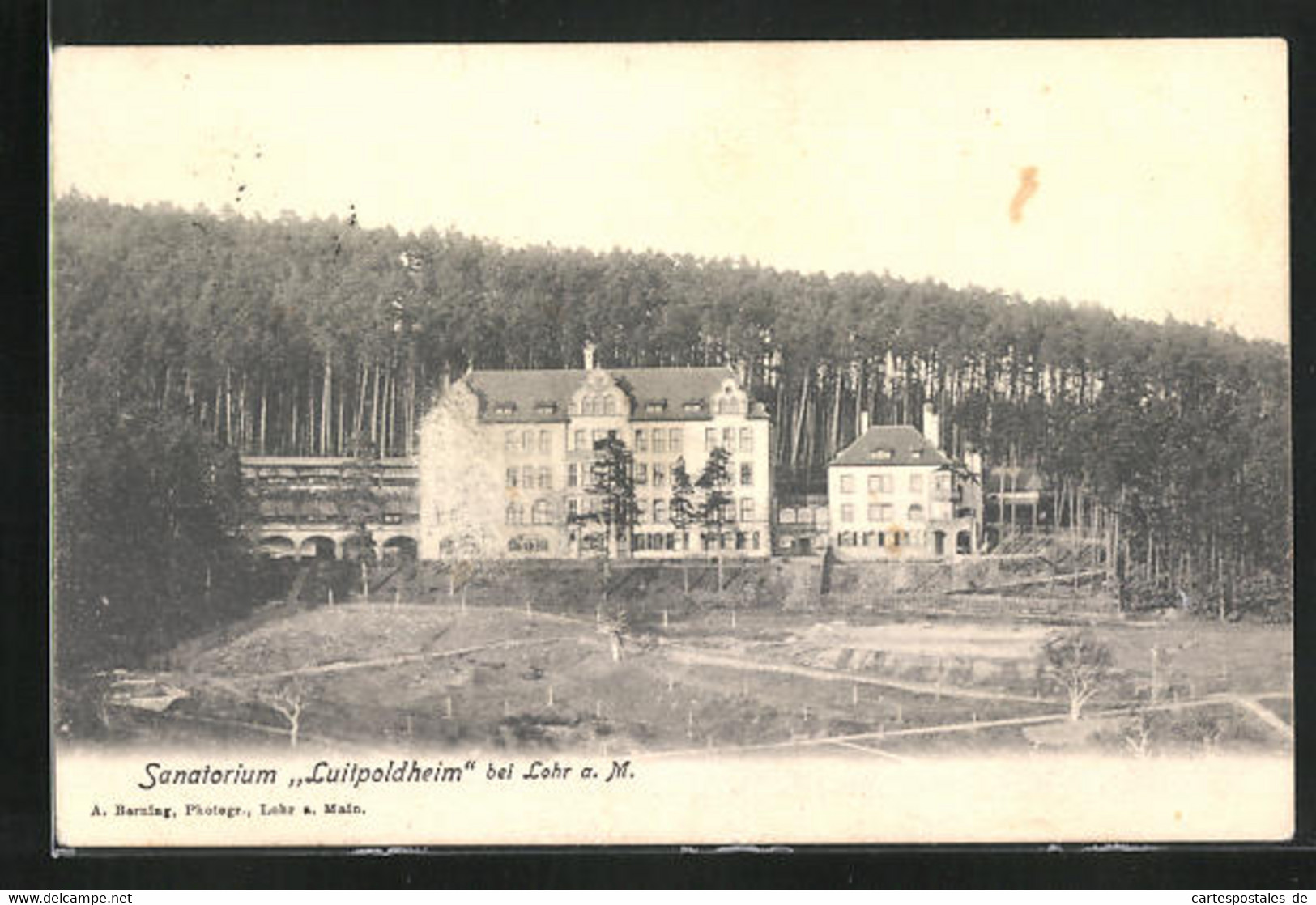 AK Lohr / Main, Sanatorium Luitpoldheim - Lohr