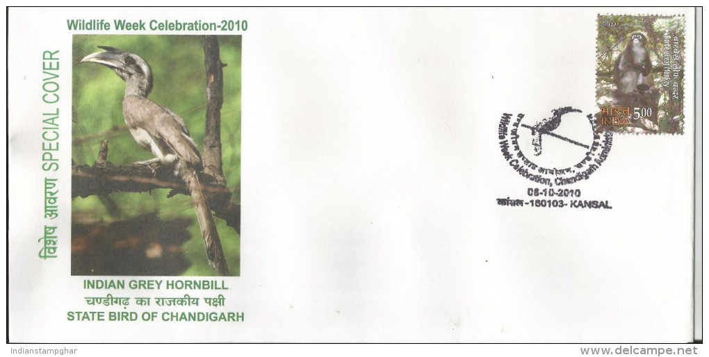 Inde India 2010 Special Cover Indian Grey Hornbill, State Bird Of Chandigarh, Pictorial Cancellation, Birds - Grey Partridge