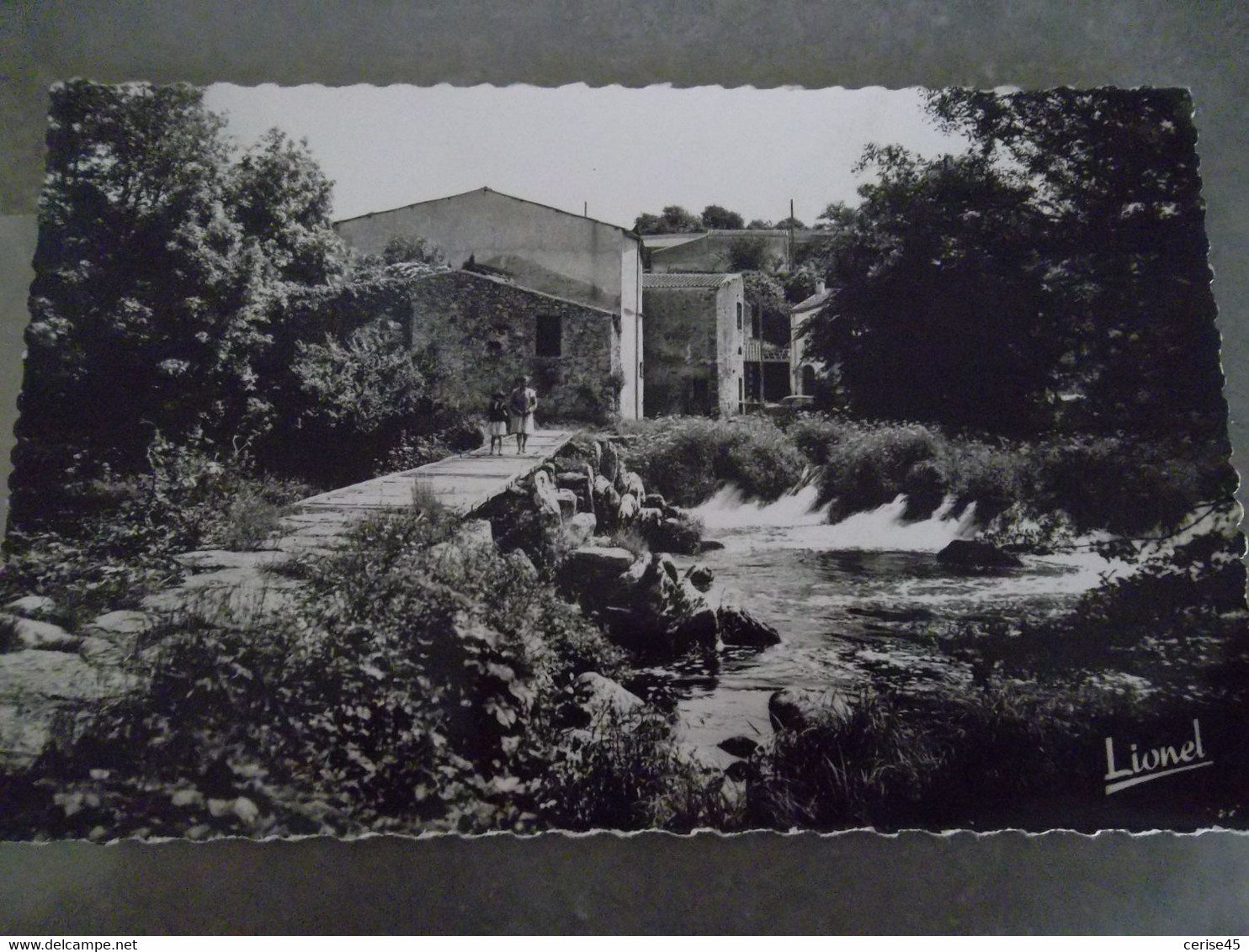 BOUSSAY   LE MOULIN DE ROUSSELIN SUR LA SEVRE - Boussay