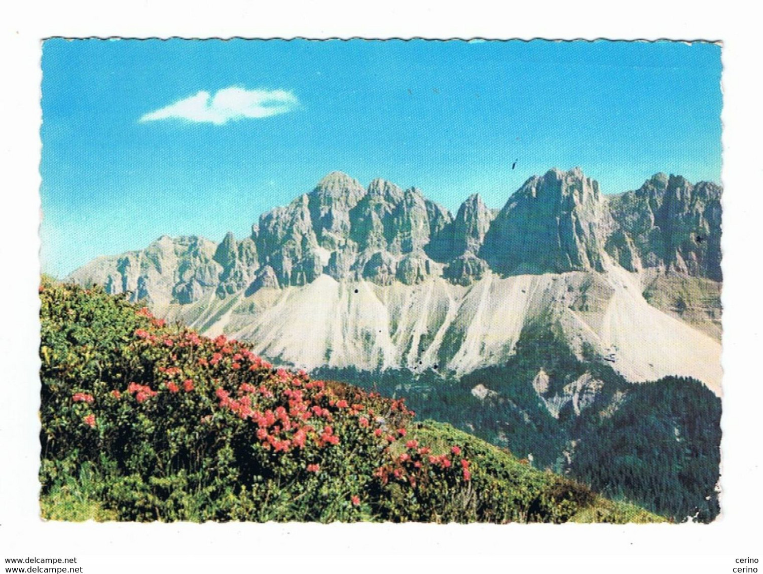 LE  ODLE  DI  EORES (BZ):   GRUPPO  DI  CIME  DOLOMITICHE  -  PER  LA  SVIZZERA  -  FG - Climbing
