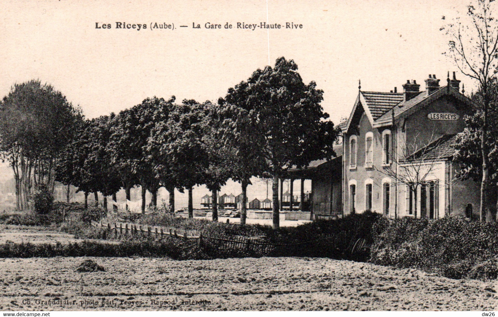 Les Riceys (Aube) La Gare De Ricey-Haute-Rive - Edition Ch. Granddidier - Carte Non Circulée - Les Riceys