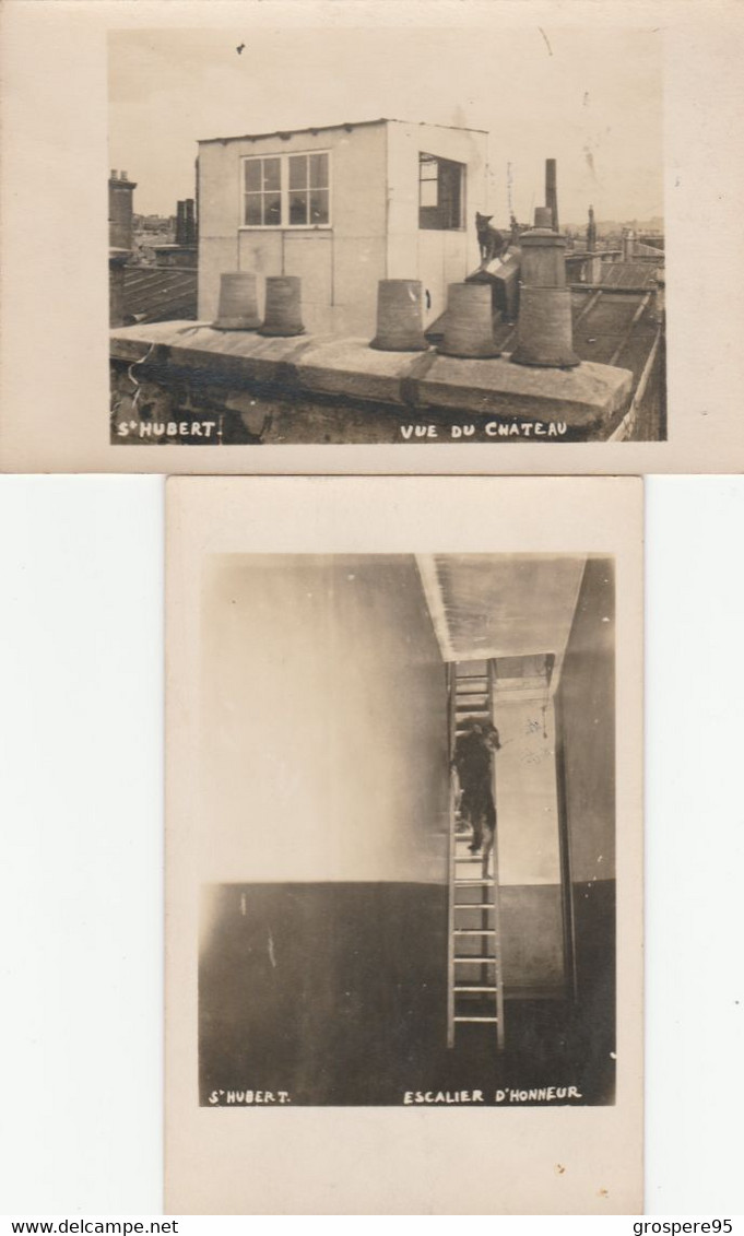 SAINT HUBERT CARTES PHOTOS VUE DU CHATEAU ET ESCALIER D'HONNEUR 1925 - Zu Identifizieren