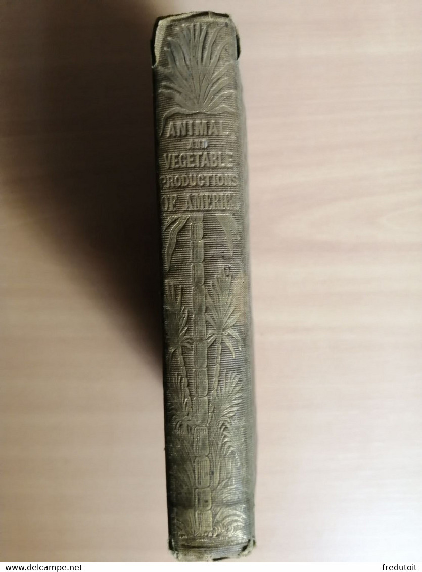 LIVRE - Mary Roberts - Sketches Of The Animal And Vegetable Productions Of America - 1839 - - 1800-1849