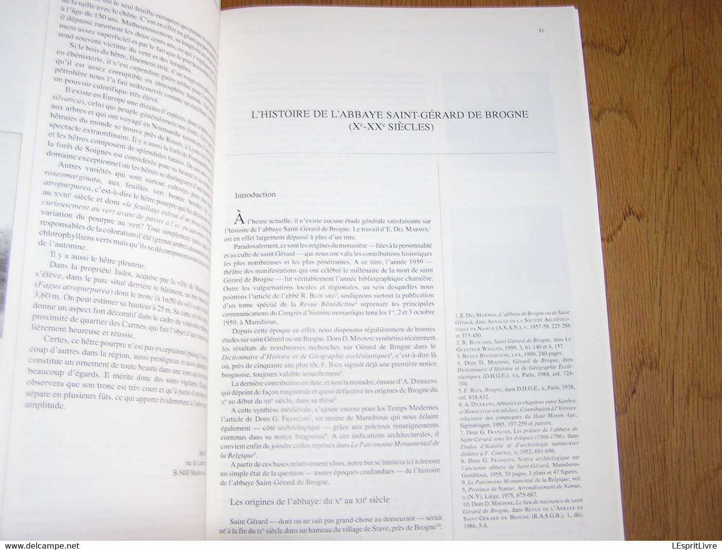 DE LA MEUSE A L'ARDENNE N° 9 1989 Mohiville François Pirson Dinant Saint Gérard Ardoisières Guerre 40 45 Humain Falaën