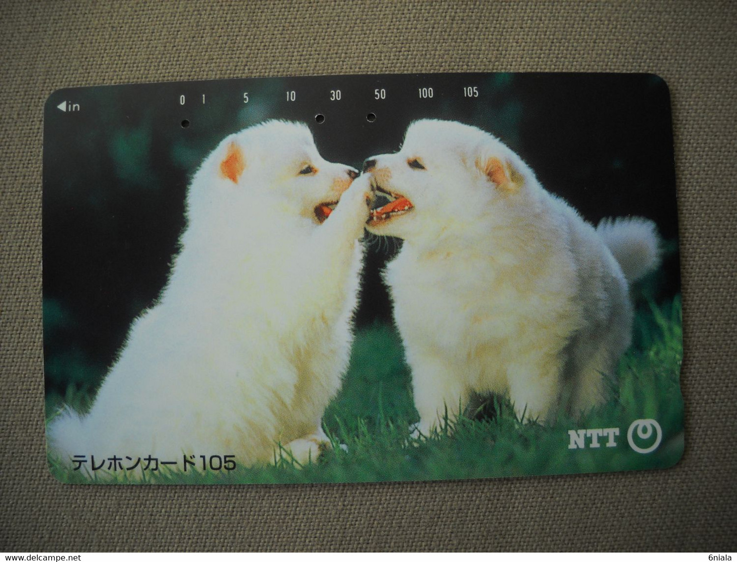 6978 Télécarte Collection  Couple  Petit CHIEN  (jeunes Chiots)  ( Recto Verso)  Carte Téléphonique - Dogs