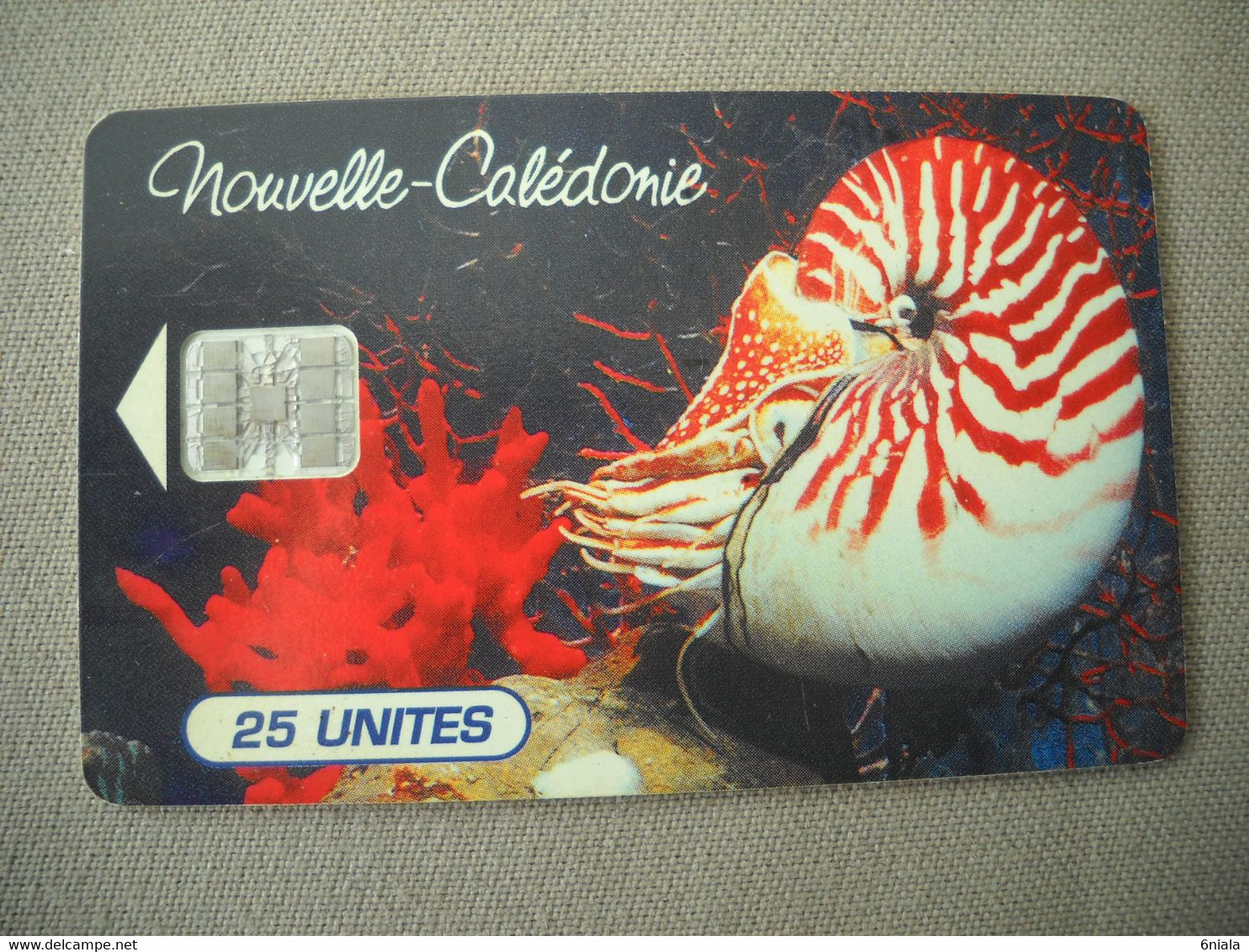7018 Télécarte Collection NOUVELLE CALEDONIE  Nautilus Macromphalus Aquarium Nouméa  ( Recto Verso)  Carte Téléphonique - Nieuw-Caledonië