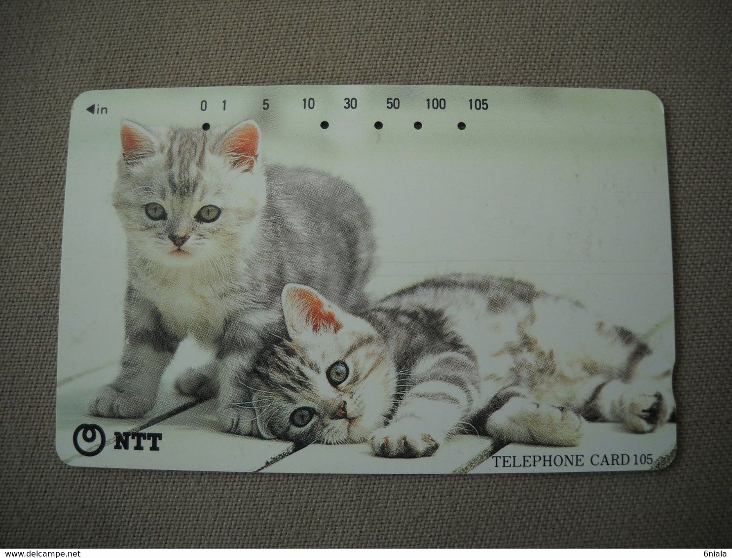 7009 Télécarte Collection CHAT CHATON   ( Recto Verso)  Carte Téléphonique - Katten