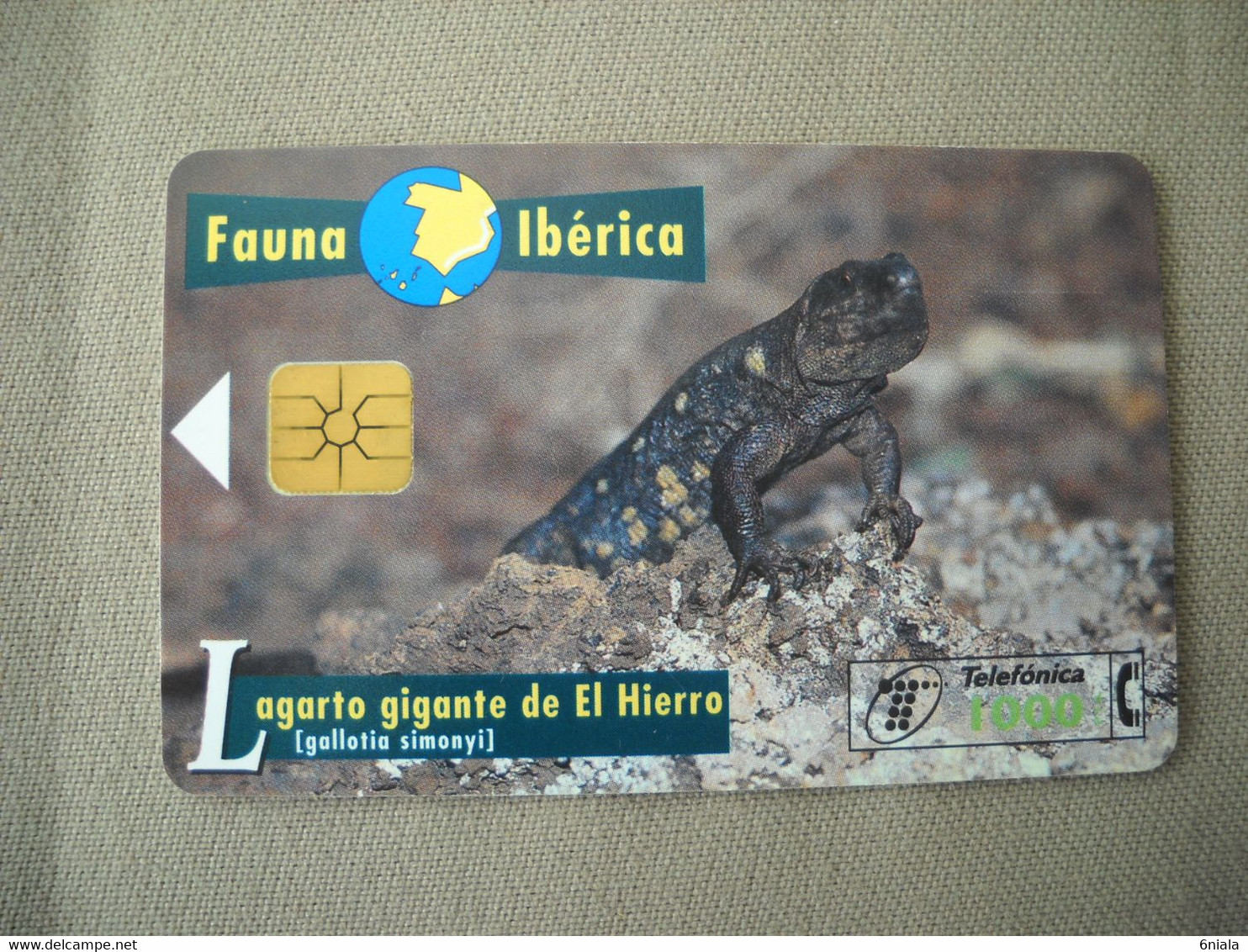 7023 Télécarte Collection LEZARD GEANT DE FER  Espagne ( Recto Verso)  Carte Téléphonique - Sonstige & Ohne Zuordnung