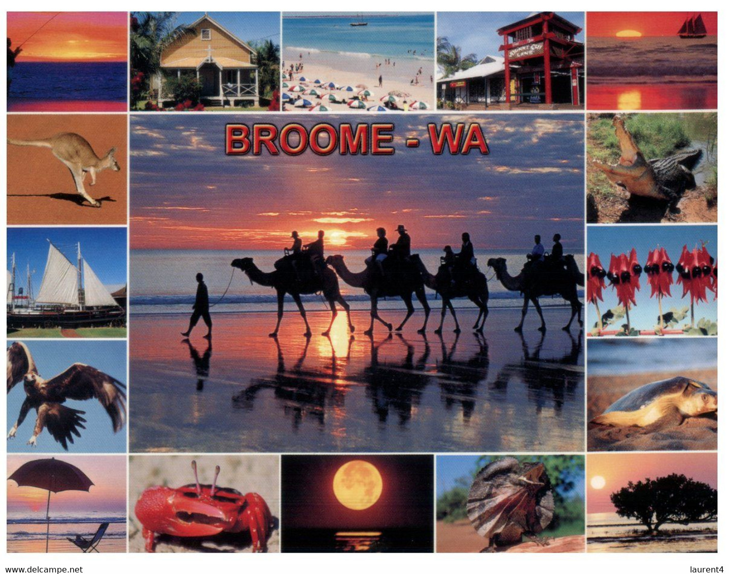 (OO 25) Australia -  Kangaroo / Tortois / Camel Ride Etc (Broome) - Broome