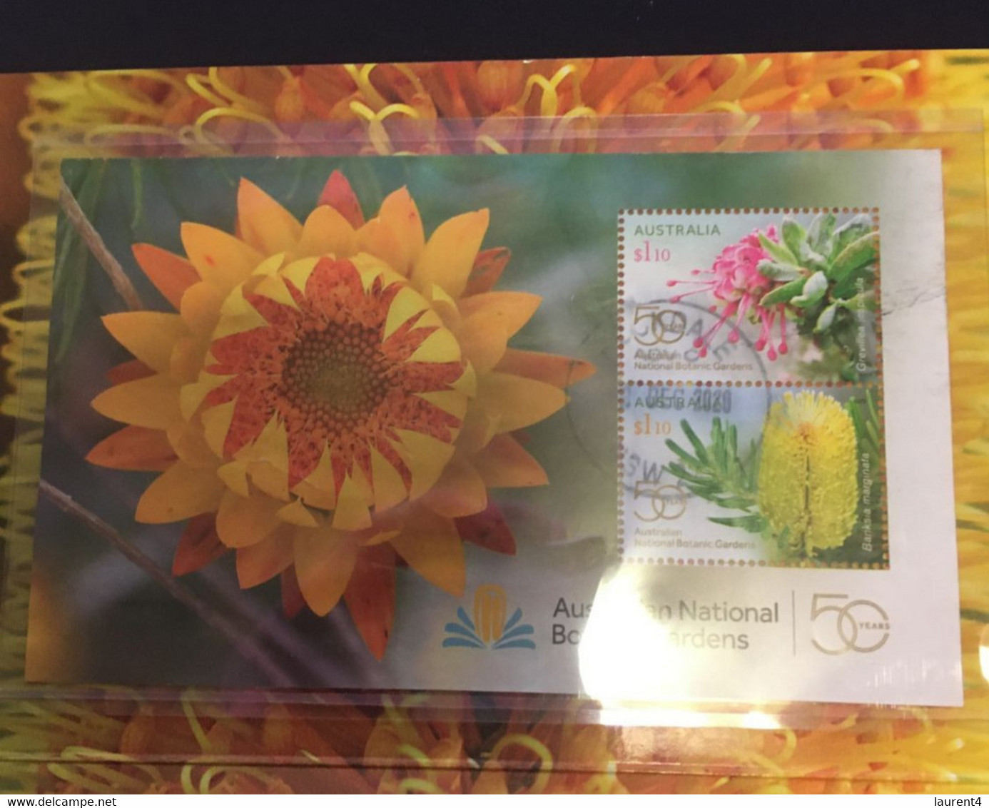 (OO 26) Australia Presentation Stamp Pack - Australian National Botanic Gardens (with 4 Used Stamps) - Presentation Packs