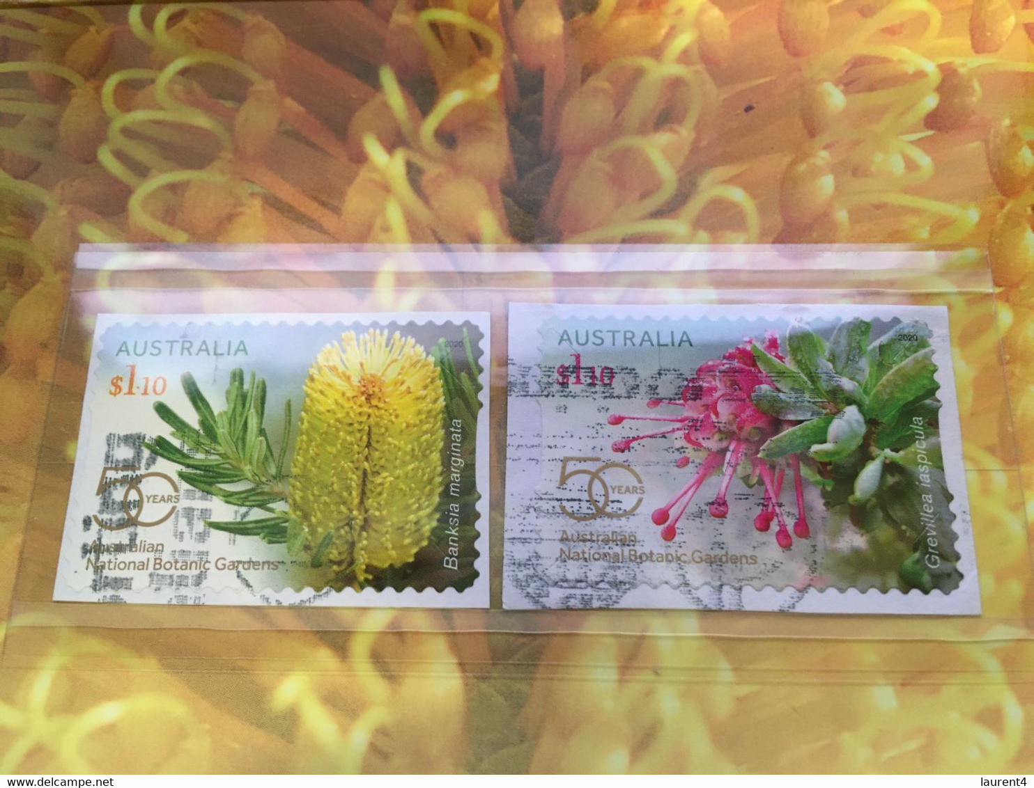 (OO 26) Australia Presentation Stamp Pack - Australian National Botanic Gardens (with 4 Used Stamps) - Presentation Packs