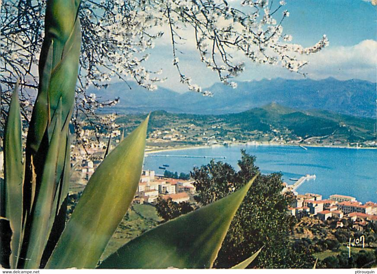 LOT DE 195 CARTES DE LA CORSE - CPM ET CPSM