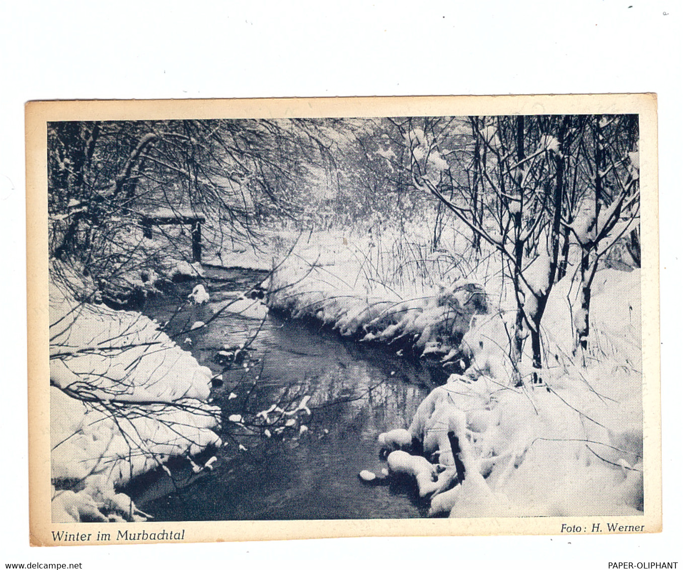 5093 BURSCHEID, Murbachtal Im Schnee, 1965 - Bergisch Gladbach