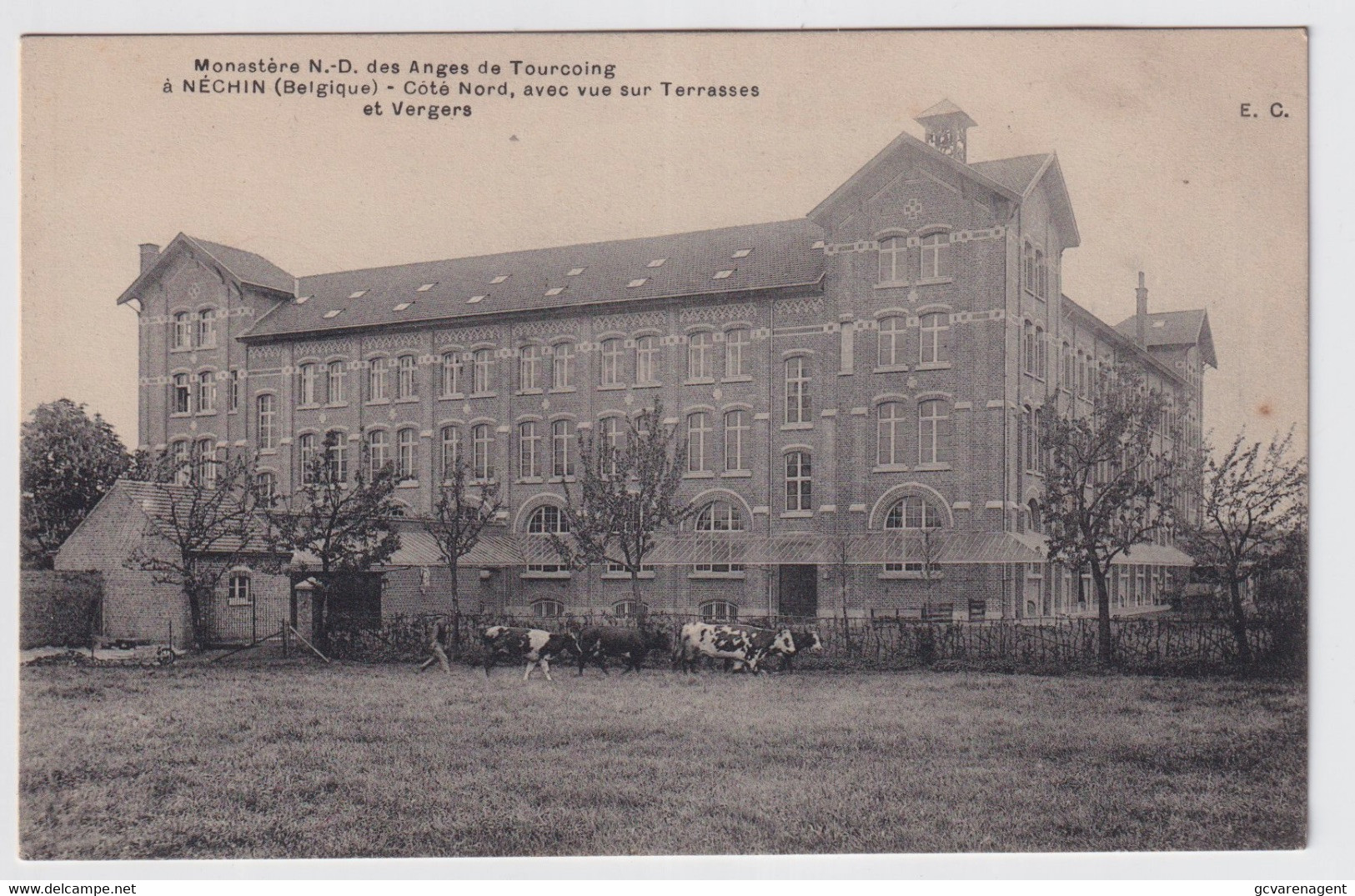 MONASTERE DE N.D. DES ANGES DE TOURCOING A NECHIN  - COTE NORD VUE SUR TERRASSES ET VERGERS - Estaimpuis