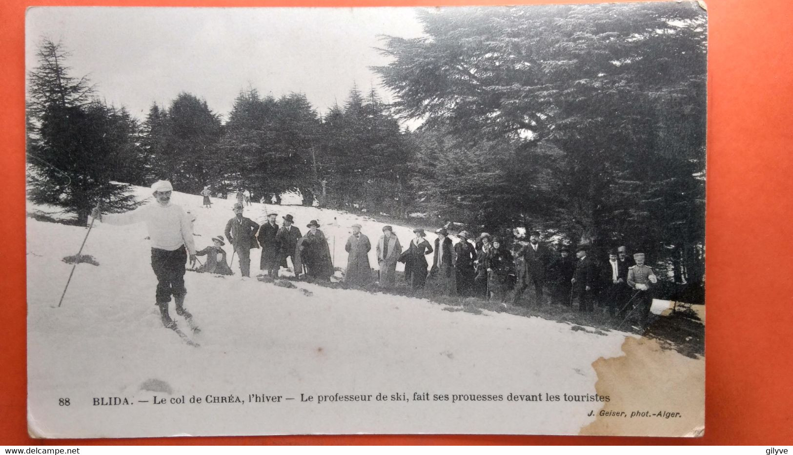 CPA. Blida. Le Col De Chrea Le Professeur De Ski.   (R1.280) - Blida