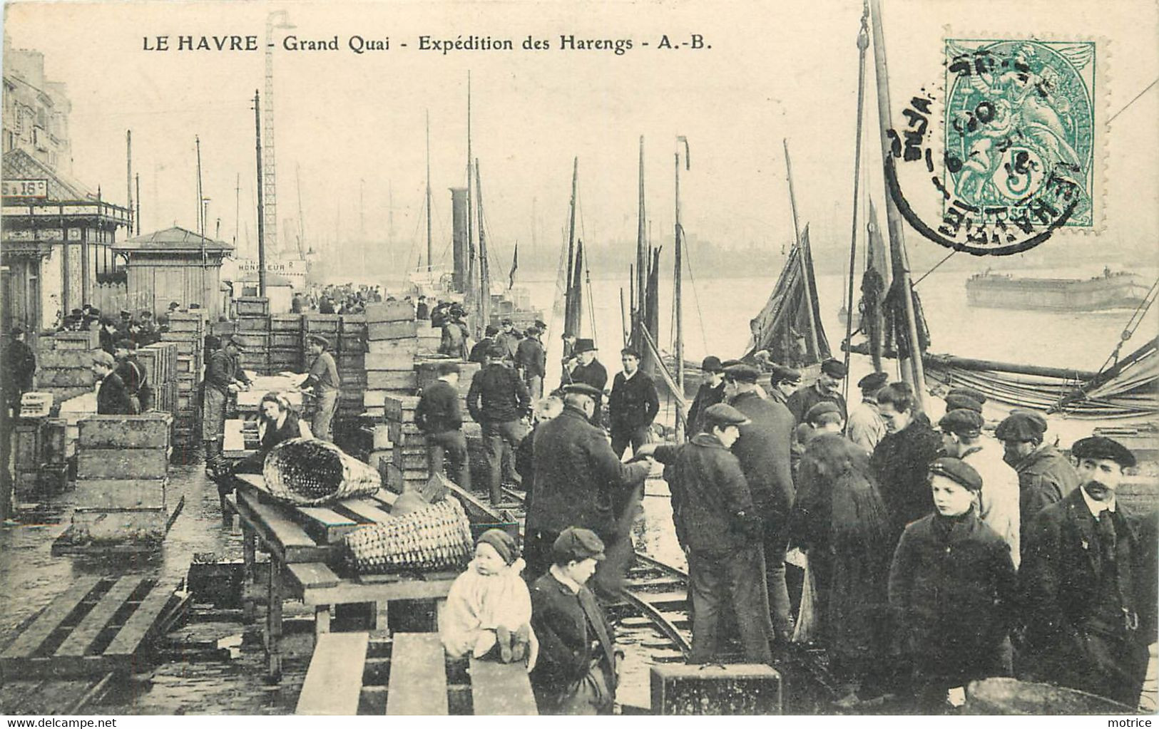 LE HAVRE - Grand Quai, Expédition Des Harengs. - Hafen