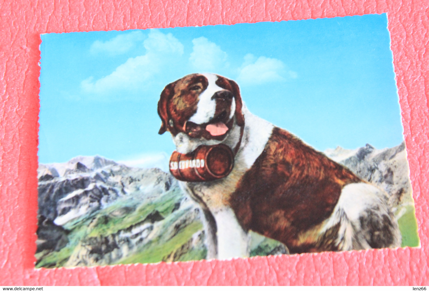 Aosta Gran S. Bernardo Grand St. Bernard E Il Cane NV - Other & Unclassified