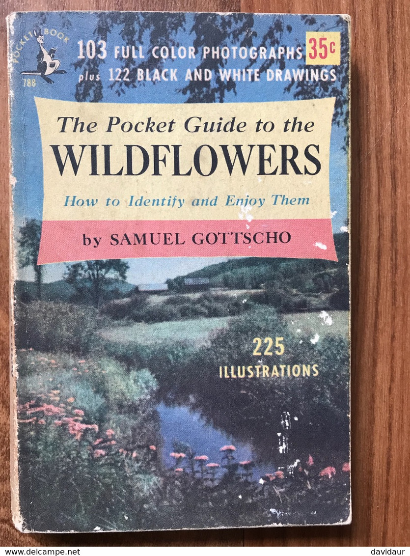 The Pocket Guide To The Wildflowers  - Samuel Gottscho - Sonstige & Ohne Zuordnung