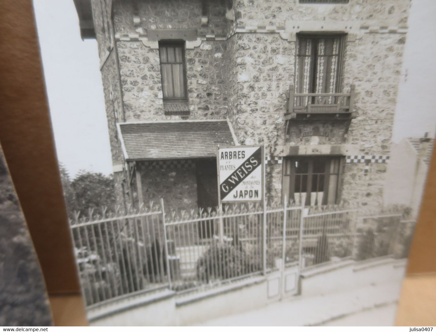 SAINT CLOUD (92) Carte Photo + 2 Photographies G WEISS Horticulture Arbres Et Plantes Des Montagnes Du Japon - Saint Cloud