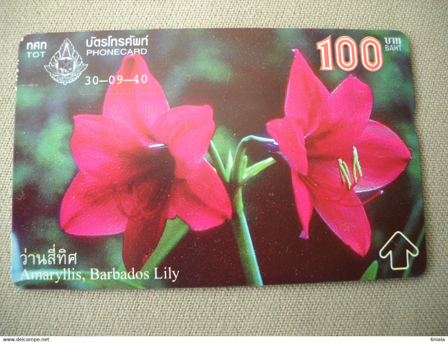 7033 Télécarte Collection FLEUR  AMARYLLIS BARBADOS LILY      ( Recto Verso)  Carte Téléphonique - Flores