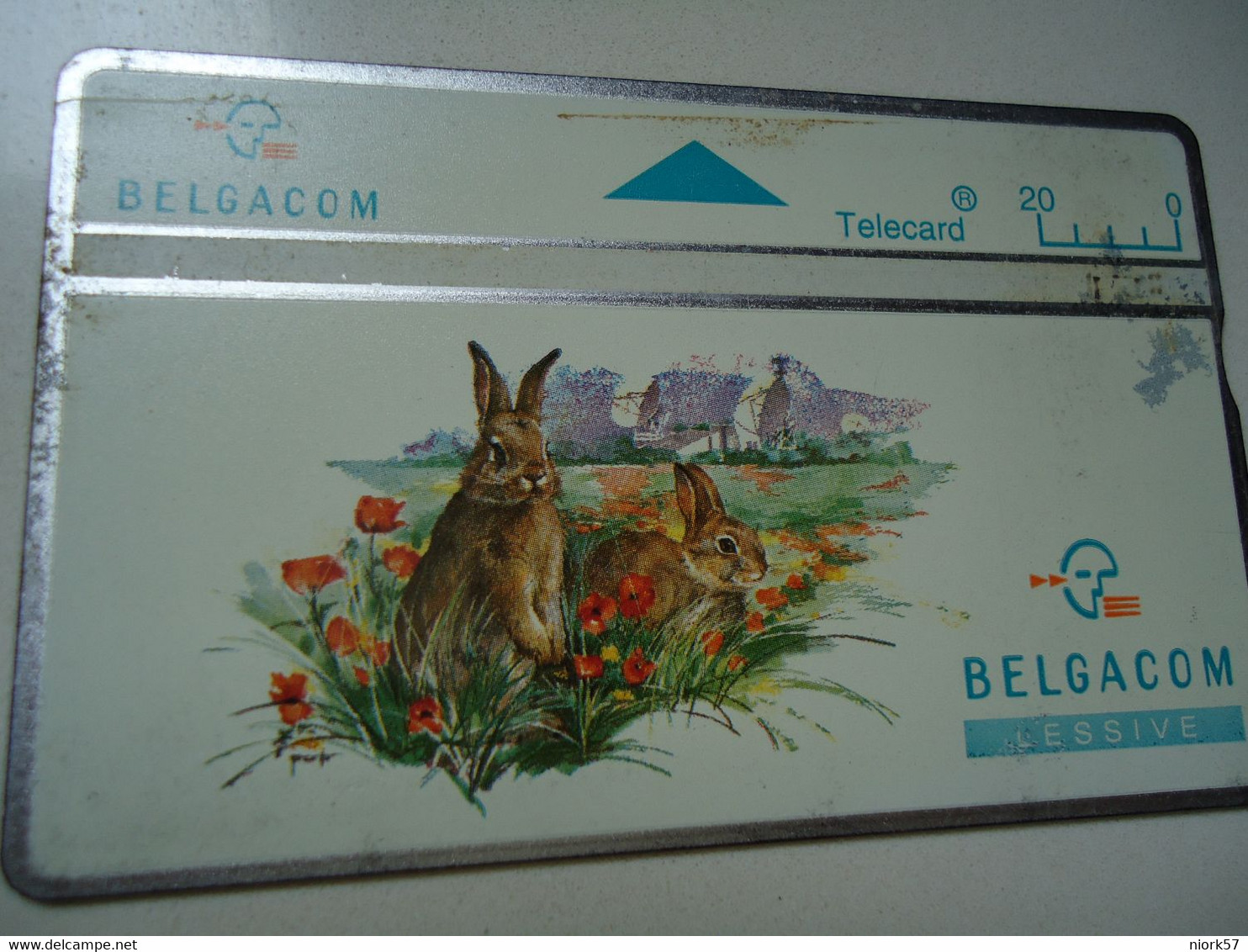 BELGIUM   USED CARDS   ANIMALS - Conejos
