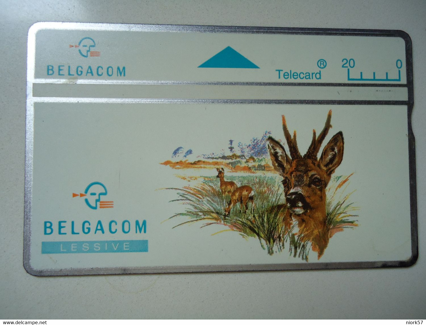 BELGIUM   USED CARDS   ANIMALS - Lapins